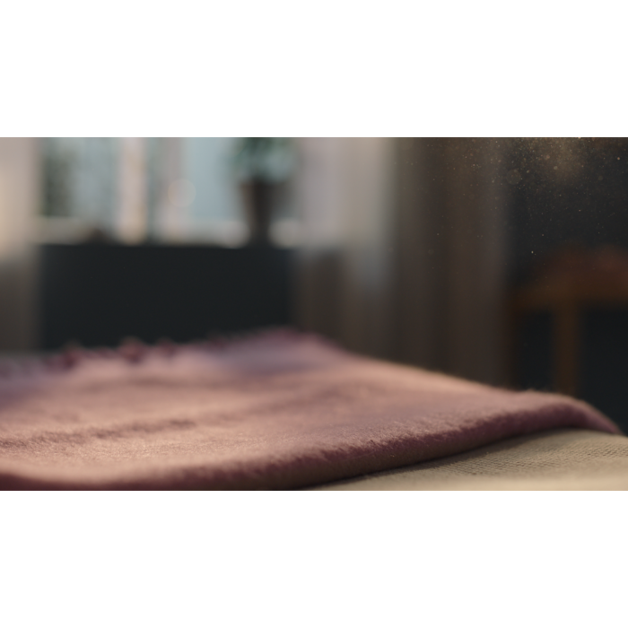 AEG - Filtro de purificadores de ar - AFWBRZ3