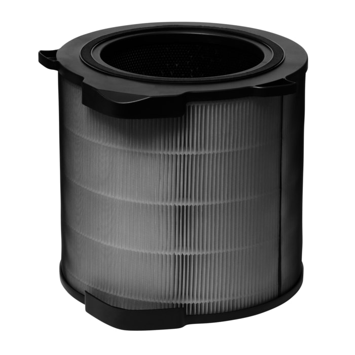 AEG - Filtro de purificadores de ar - AFDBTH4