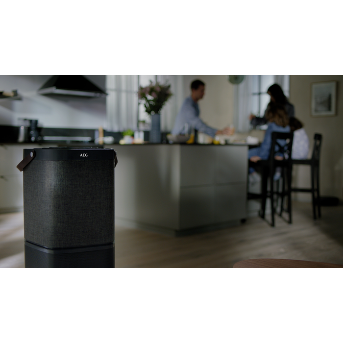 AEG - Filtro de purificadores de ar - AFDBTH6