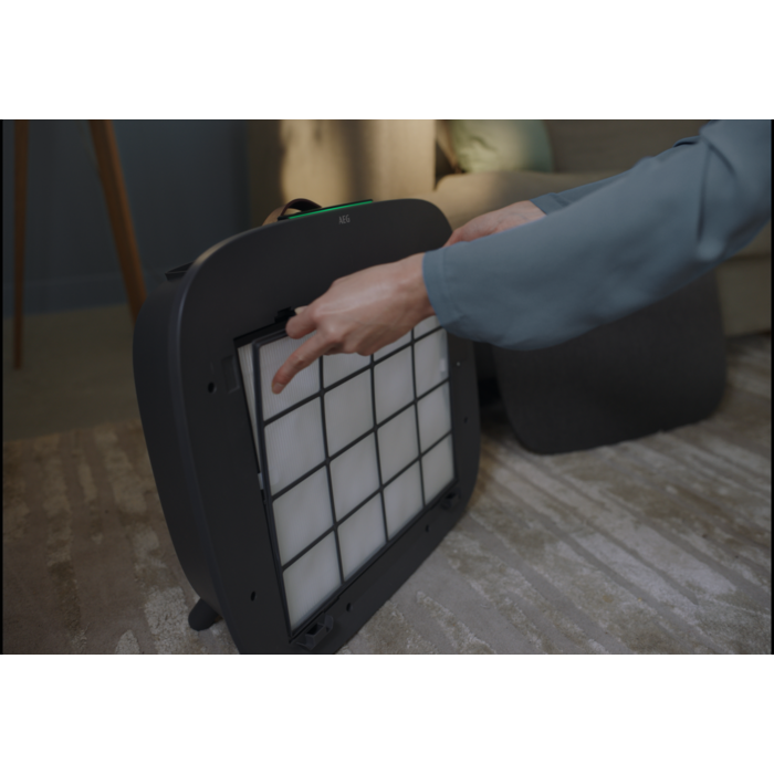 AEG - Filtro de purificadores de ar - AFWBRZ3