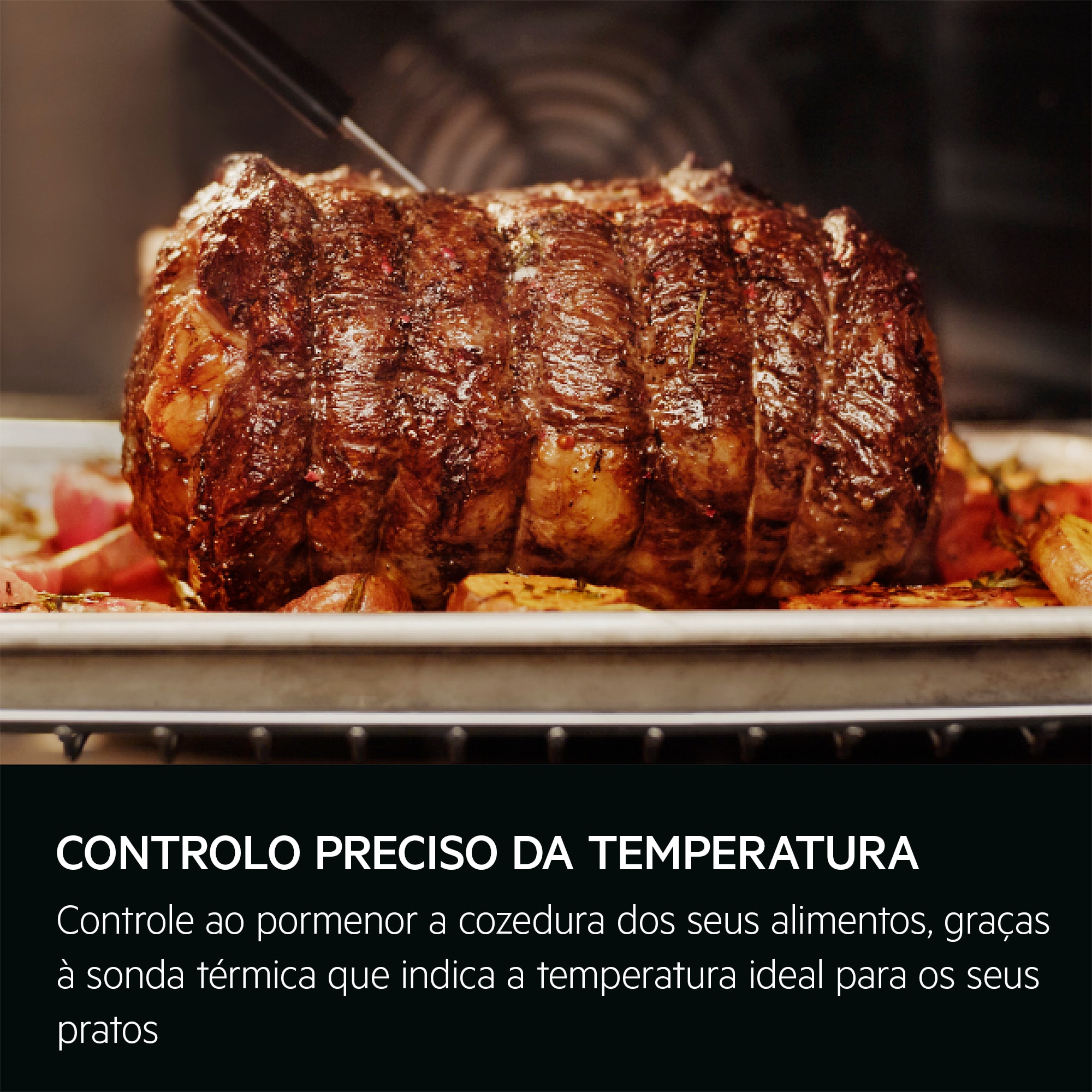 AEG - Forno pirolítico - TE8PB731AT