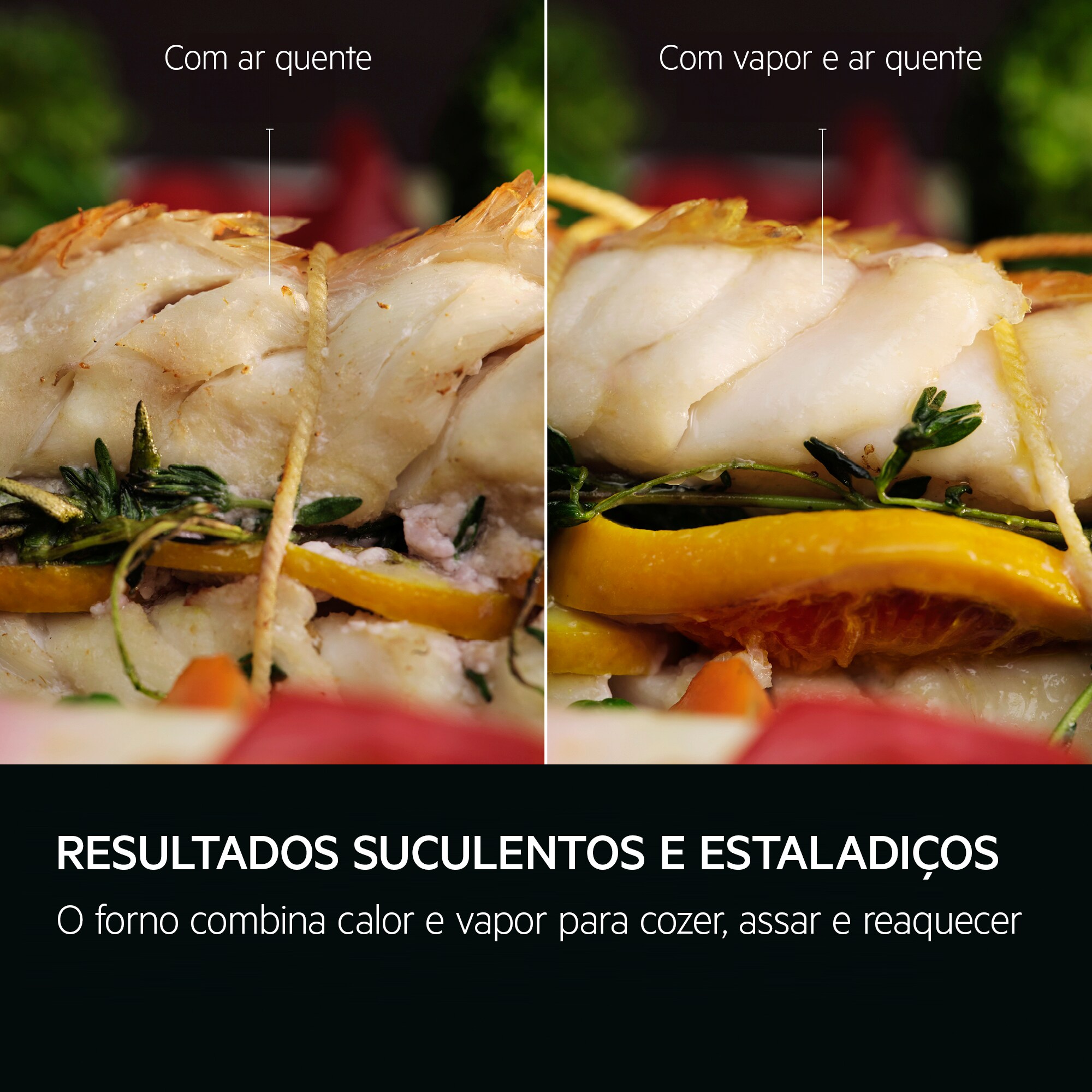 AEG - Forno pirolítico - NBR6P531SB