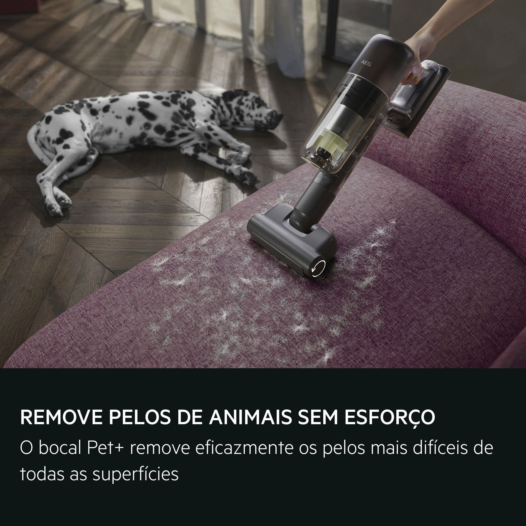 REMOÇÃO SEM ESFORÇO DE PELOS DE ANIMAIS A escova Pet+ remove eficazmente mesmo os pelosmais difíceis de todas as superfícies
