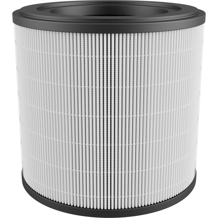 AEG - Filtro de purificadores de ar - AFFCAR2