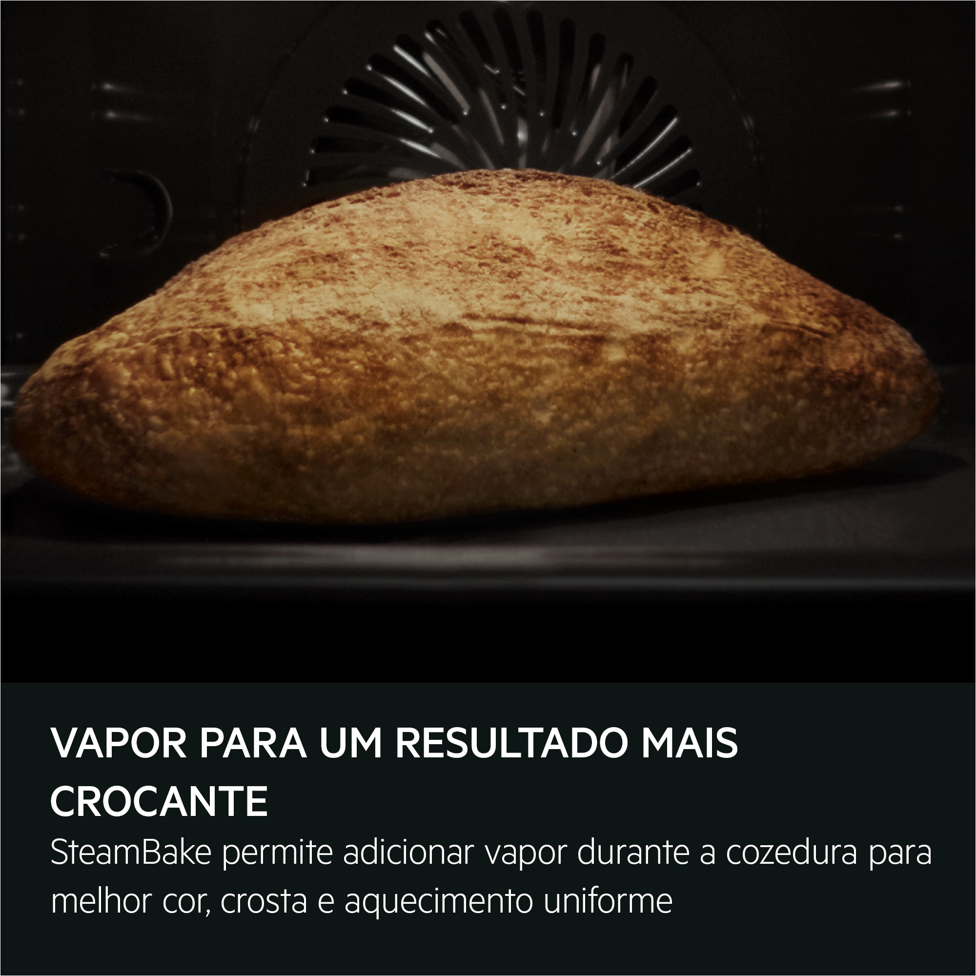 AEG - Forno a vapor - NBA5P531AB