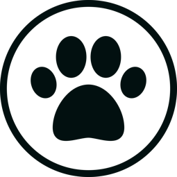 Escova Pet