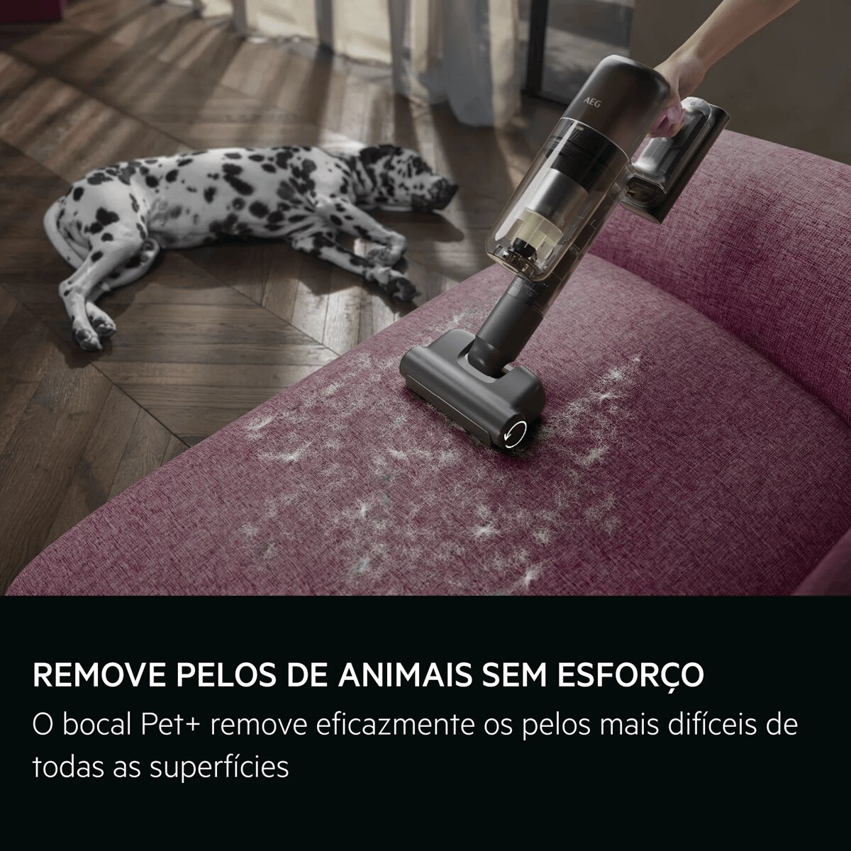 REMOÇÃO SEM ESFORÇO DE PELOS DE ANIMAIS A escova Pet+ remove eficazmente mesmo os pelosmais difíceis de todas as superfícies