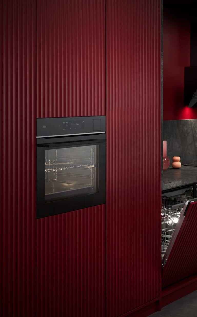 Fornos AEG Série 9000 ProAssist