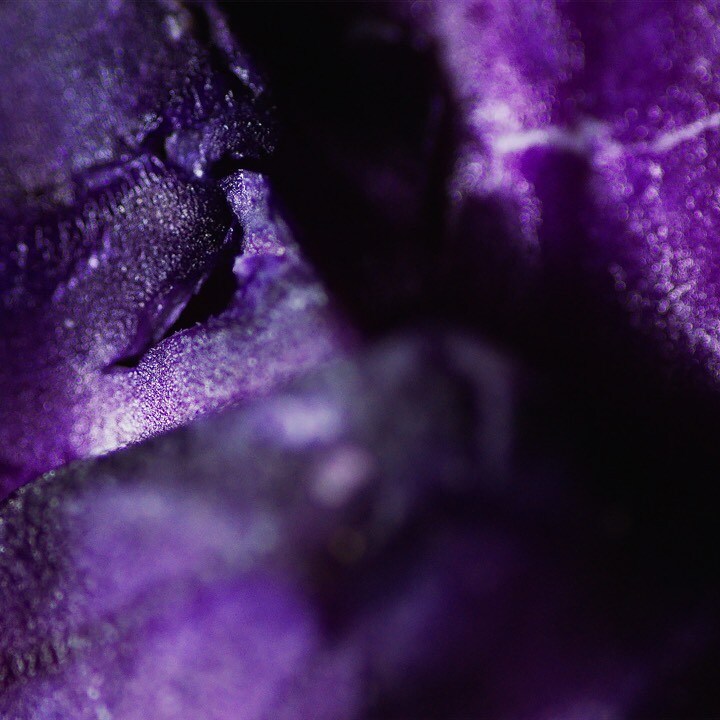verdura roxa verdura roxa