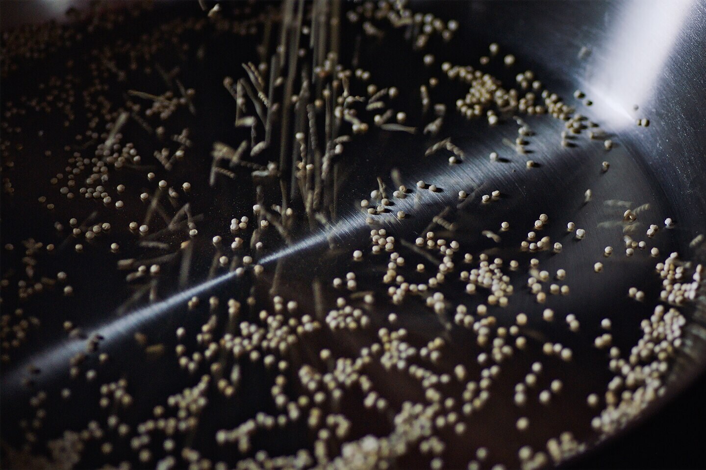 #Tendênciasdesabor - Cereais Tufados #Tendênciasdesabor - Cereais Tufados