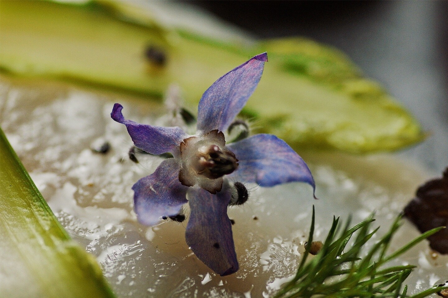#FuturodelSabor - Sous Vide #FuturodelSabor - Sous Vide