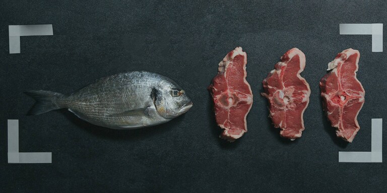 Diferentes tipos de peixe e carne
