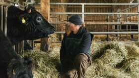 Mestre da carne, Ludwig Maurer, e uma vaca wagyu