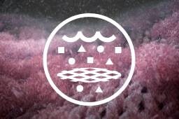 Fibras de microplásticos