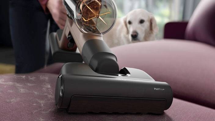 Limpeza higiénica de tapetes