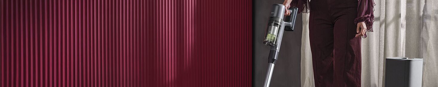 Aspiradores verticais